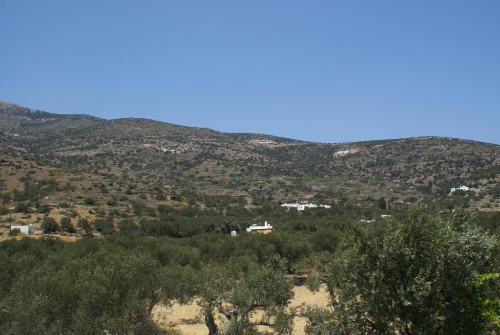 Villa Antoniadis Platis Gialos  Eksteriør bilde